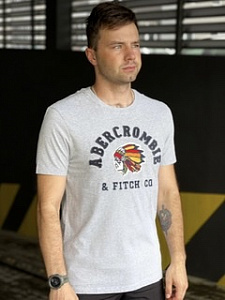 Футболка Abercrombie & Fitch с рисунком (grey)