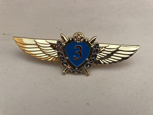 Знак Военный лётчик 3-го класса ВВС РБ 