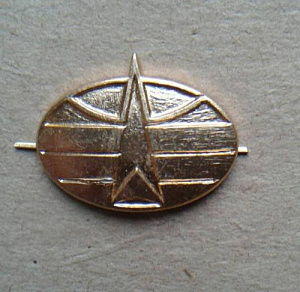 Эмблема петлица Космических войск Тип 2 золотая