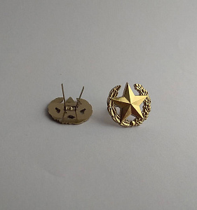 Эмблема петлица Общевойсковая ВС РБ нового образца литая 1шт