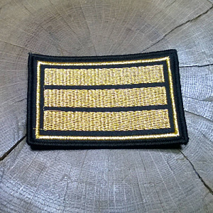 Шеврон 3 курс ( курсовка ) вышитый золото