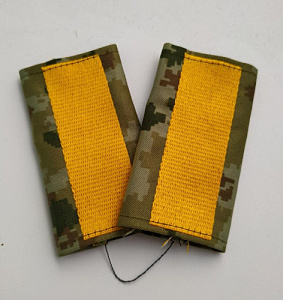 Фальш-погоны пограничные Старшина, вышитые