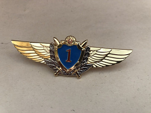Знак Военный лётчик 1-го класса ВВС РБ