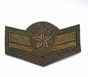 Шеврон уголок сержанта вв вышитый оливковковый без липучки