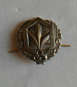 Эмблема петлица РХБЗ Тип 1 металл