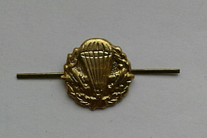 Эмблема петлица ВДВ Тип 3 золотистая