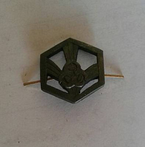 Эмблема петлица РХБЗ Тип 2 зелёный