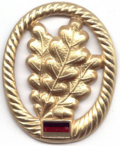 Кокарда лёгкой пехоты Бундесвера