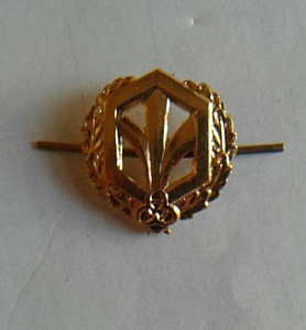 Эмблема петлица РХБЗ Тип 1 золото