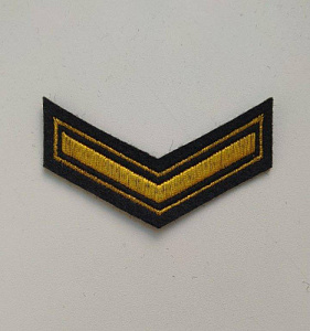 Шеврон 1 курс ( курсовка ) МВД вышитый золото