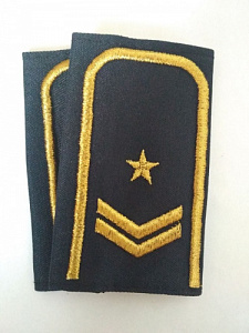 Фальшпогоны старшего начальствующего состава БелЖД, две лычки и одна звезда. Вышитые