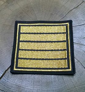 Шеврон 5 курс ( курсовка ) вышитый золото