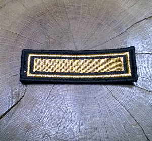 Шеврон 1 курс ( курсовка ) вышитый золото