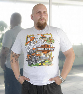 Майка All Stars Grey Harley Davidson