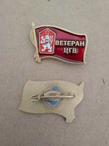 Памятный знак "Ветеран ЦГВ"