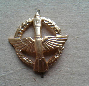 Эмблема петлица Космических войск Тип 1 золотая