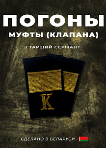 Фальшпогоны курсанта академии МВД РБ. Старший сержант, вышивка