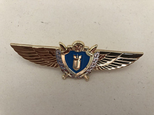 Знак Военный штурман ВВС РБ