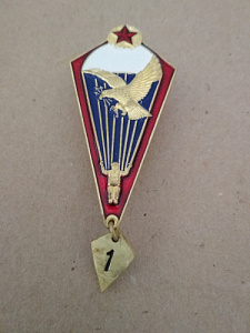 Знак "Парашютист ВС РБ" краповая окантовка
