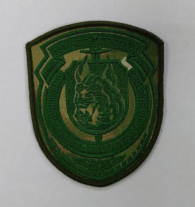 Шеврон 3214 Мультикам без липучки