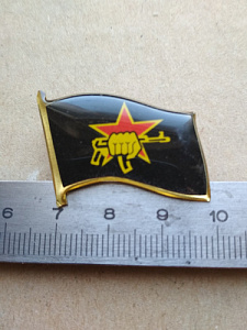 Значок: ВВ МВД "Звезда, кулак с автоматом".