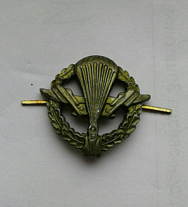 Эмблема петлица ВДВ Тип 1 зелёная