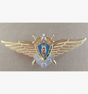 Знак Штурман ВКС 2-го класса