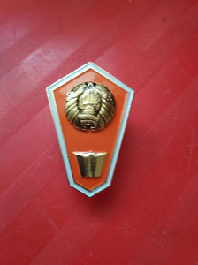 Знак о среднем гуманитарном образовании. Оранжевый фон