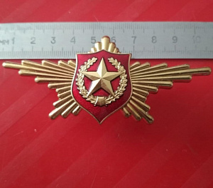 Знак РПК с эмблемой сухопутных войск
