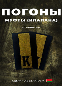 Фальшпогоны курсанта академии МВД РБ. Старшина, вышивка