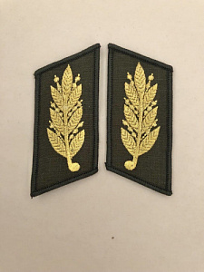 Петлицы генеральские ВС РБ оливковая ткань золотистый люрекс