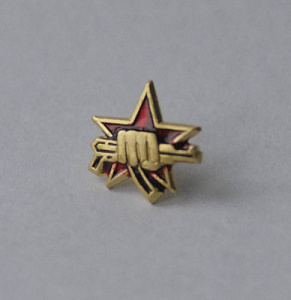 Значок "Спецназ"