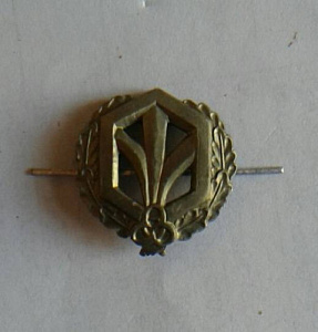 Эмблема петлица РХБЗ Тип 1 зелёный