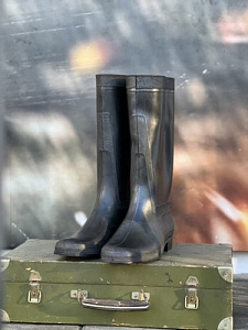 Сапоги уставные