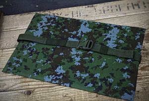 Пятиточеник ВСО Пограничная Цифра