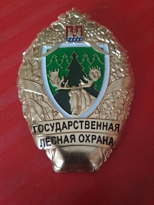 Знак должностной нагрудный. Государственная лесная охрана. Калининградская область.э