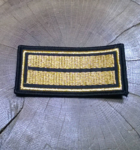 Шеврон 2 курс ( курсовка ) вышитый золото