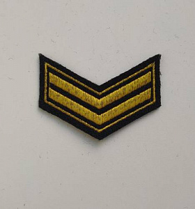 Шеврон 2 курс ( курсовка ) МВД вышитый золото