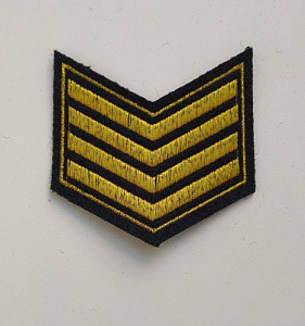 Шеврон 4 курс ( курсовка ) МВД вышитый золото