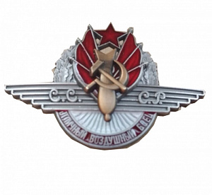 Знак "Отличный воздушный боец"